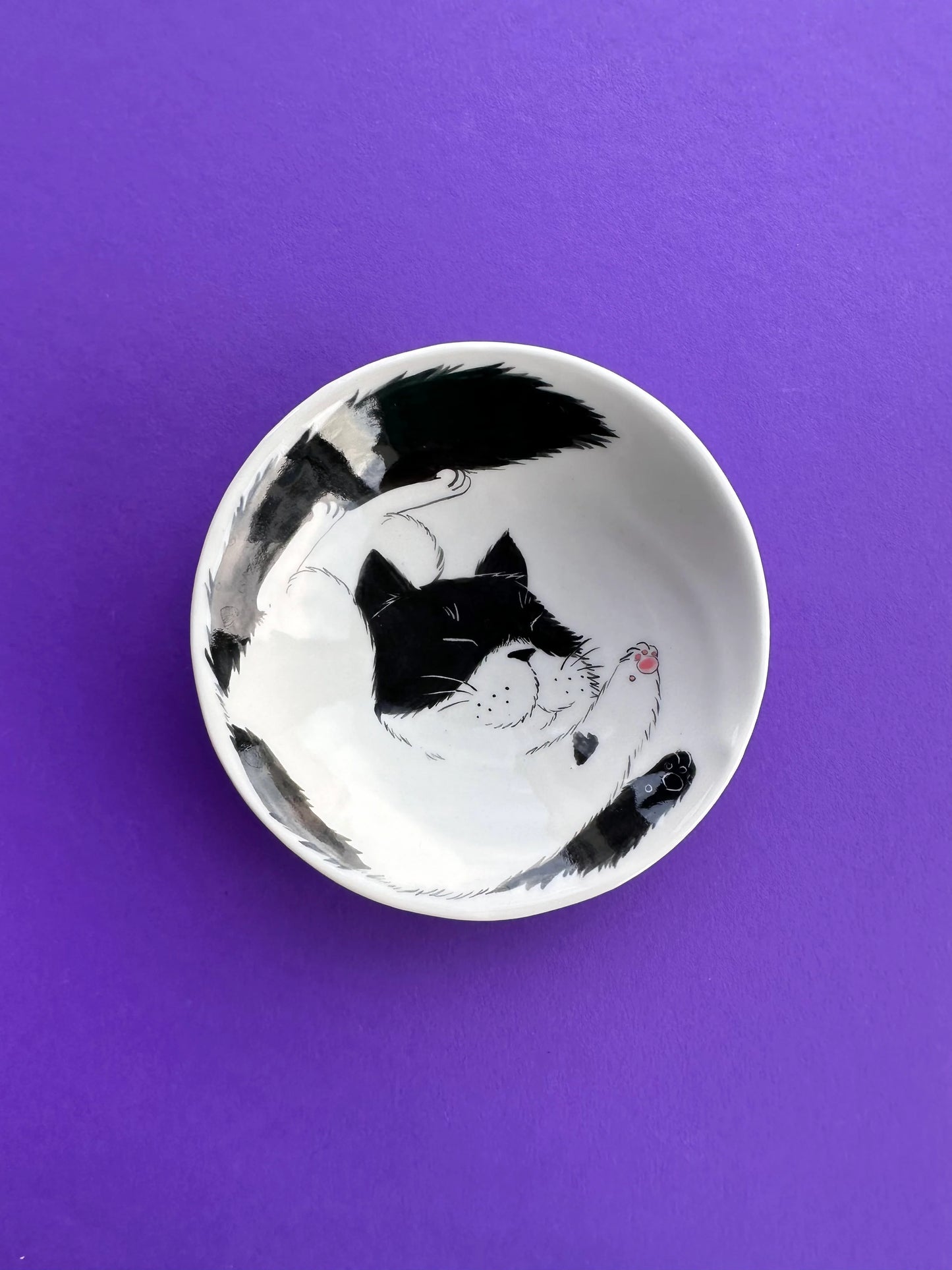 Coupelle chat en porcelaine, vue 6
